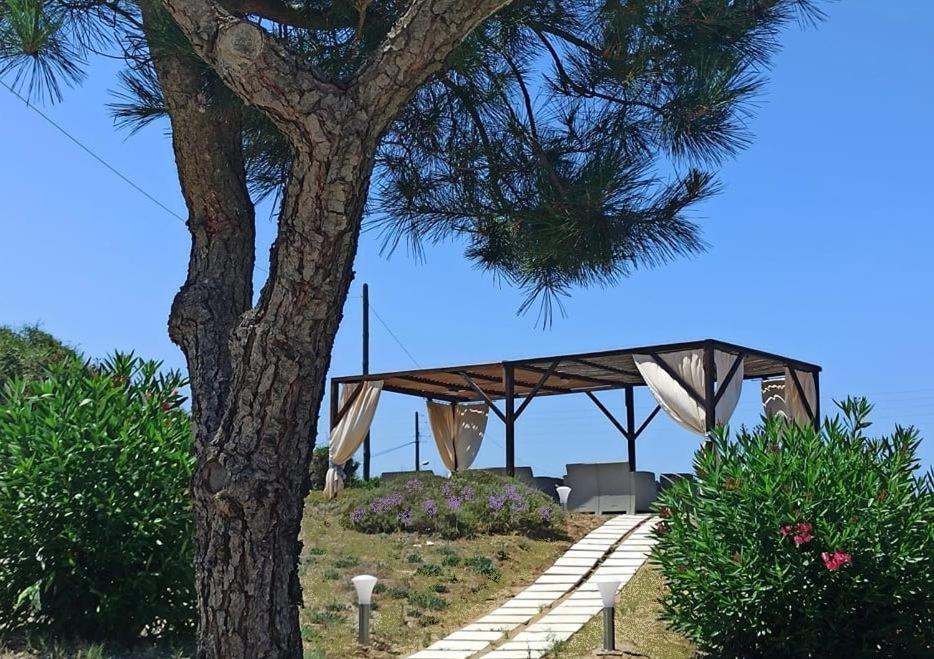 Elli Beach Apartments And Studios Almiros Beach 외부 사진