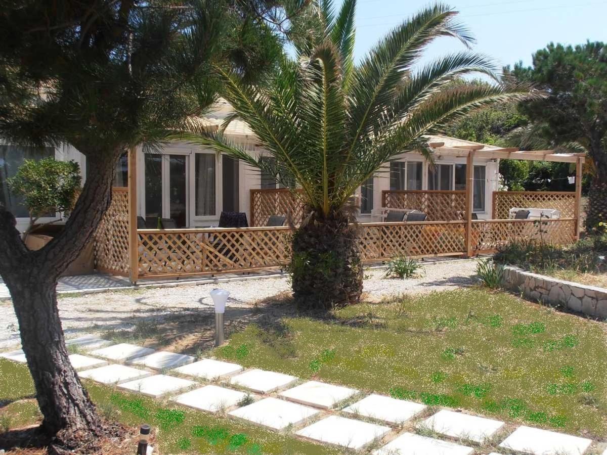 Elli Beach Apartments And Studios Almiros Beach 외부 사진