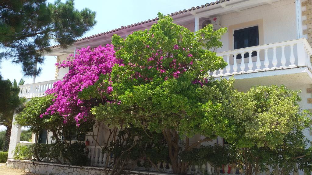 Elli Beach Apartments And Studios Almiros Beach 외부 사진