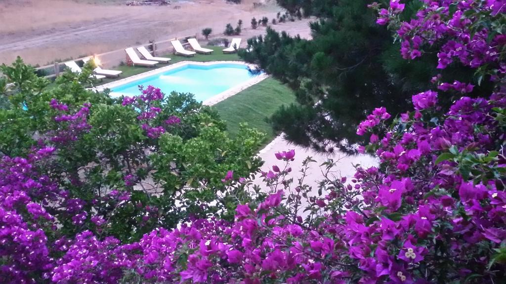 Elli Beach Apartments And Studios Almiros Beach 객실 사진
